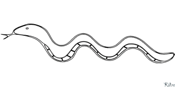 мор Саҳифаҳои Рангкунии Чопшаванда